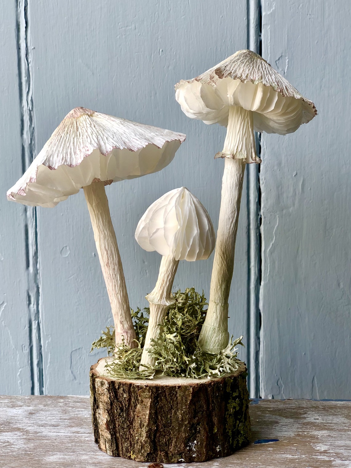 Mushrooms