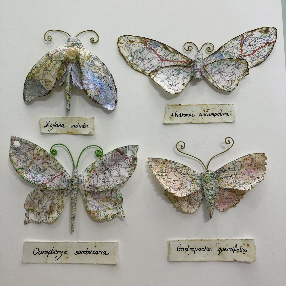 Paper Moths